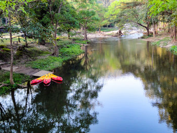 Reflection of trees on lake