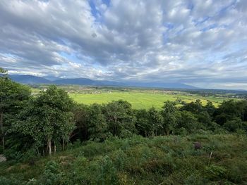 Scenic view of field against sky