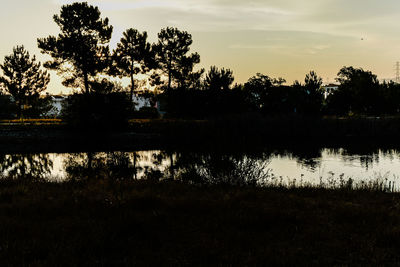 Silhouette trees by lake against sky during sunset