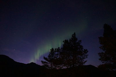 Low angle view of silhouette trees against sky at night