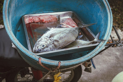 High angle view of fish in bucket on motorcycle