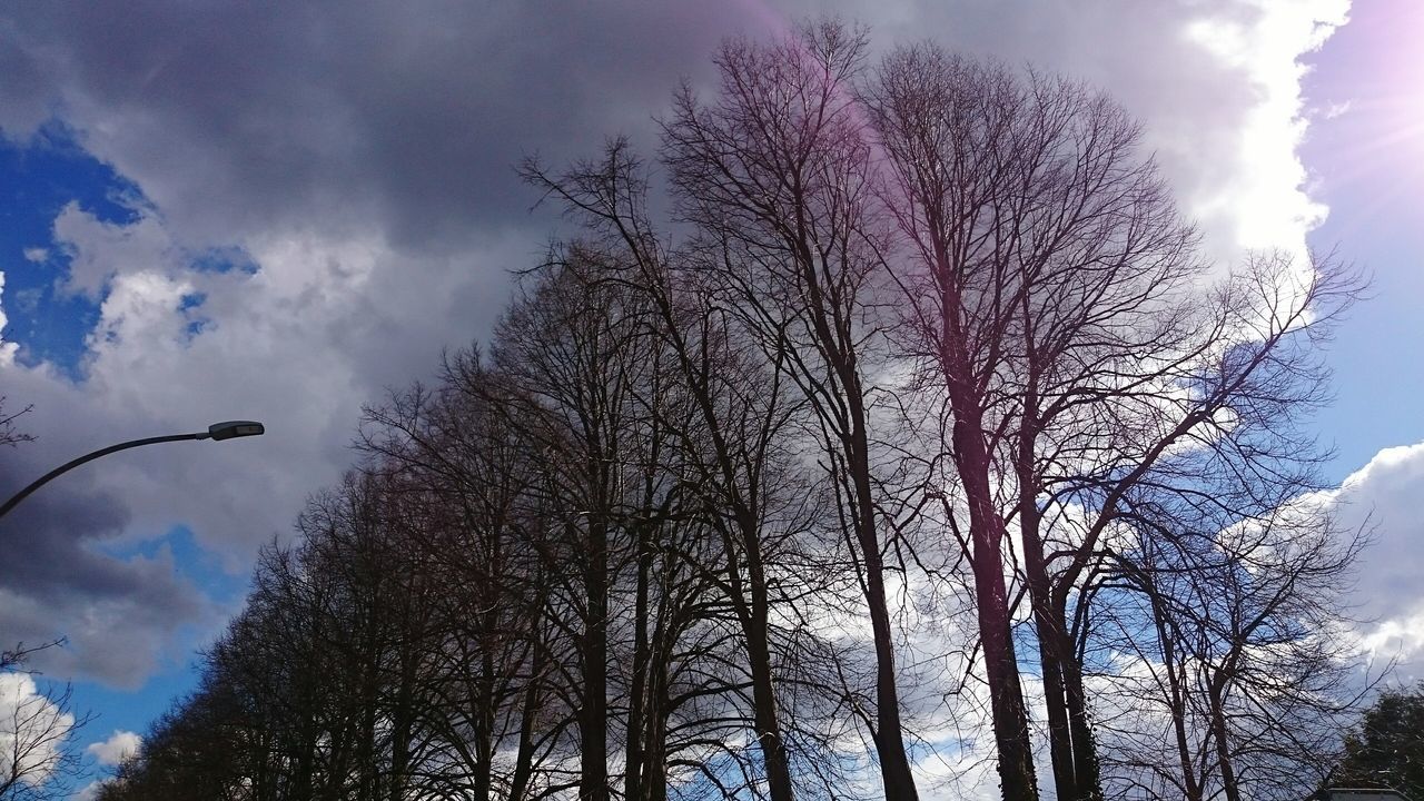 low angle view, tree, sky, bare tree, cloud - sky, branch, silhouette, cloudy, tranquility, nature, beauty in nature, cloud, scenics, growth, tranquil scene, tree trunk, outdoors, no people, day, high section