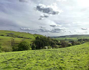 Rural landscape, with fields, trees, and distant hills near, goat lane, stainforth, settle, uk