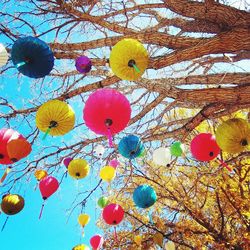 Close-up of multi colored branches against sky