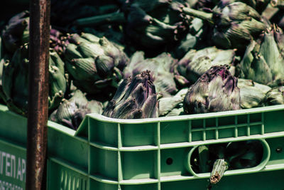 Close-up of vegetables in market