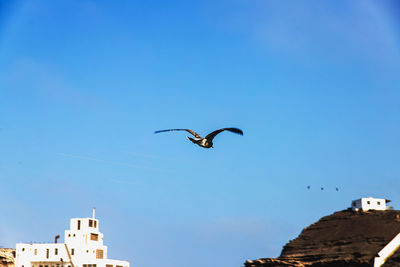 flying