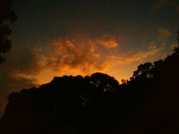 Low angle view of silhouette trees against orange sky