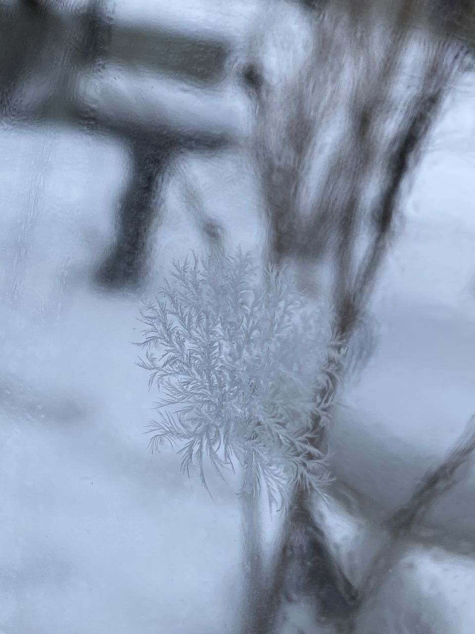 white, winter, black and white, snow, freezing, monochrome, cold temperature, close-up, ice, no people, monochrome photography, frost, nature, backgrounds, frozen, pattern, full frame, abstract, indoors, water, snowflake, drawing, tree, branch, plant, window, textured