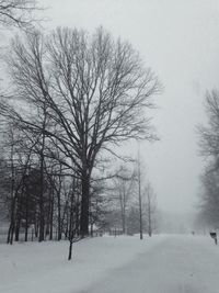 Scenic view of snow covered landscape