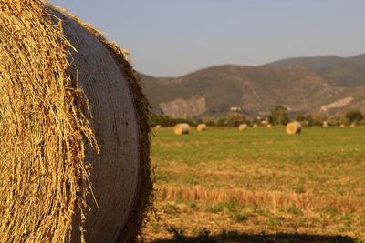 Hay bales on field against sky