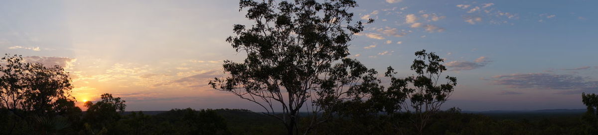 Low angle view of silhouette trees against sky at sunset