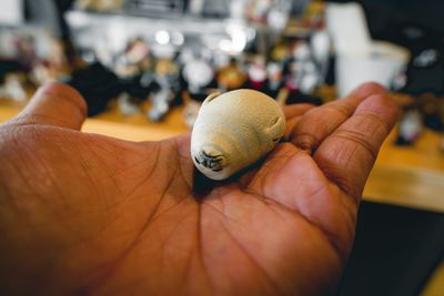 Close-up of person hand holding small toy