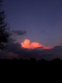 Low angle view of silhouette trees against sky during sunset