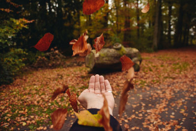 Cropped hand of woman throwing maple leaves against trees in park