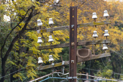 Close-up electricity pole