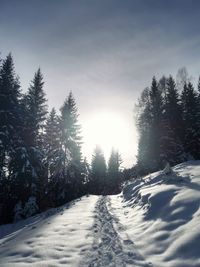 Snow covered landscape against sky