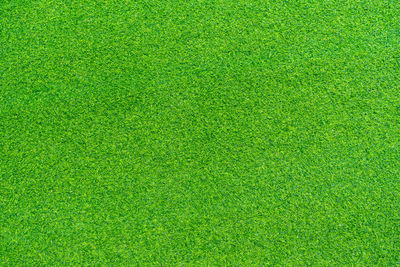 Full frame shot of green grass