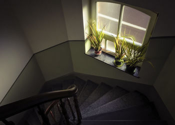 High angle view of spiral staircase at home