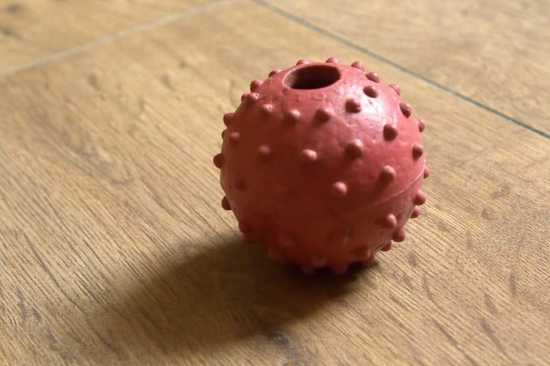 Ball toy dogs