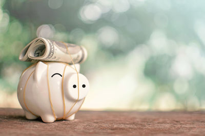 Close-up of paper currency and piggy bank on table