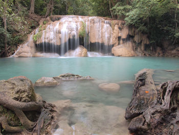 Scenic view of waterfall in forest