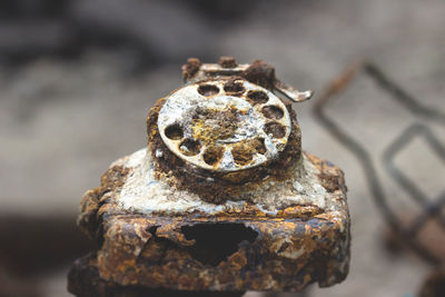 Close-up of rusty metal