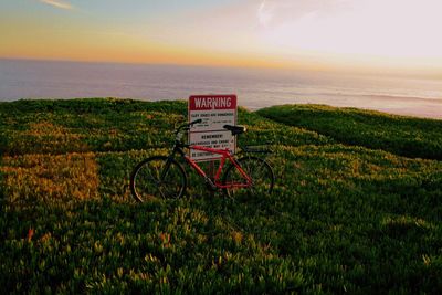 Scenic view of sea at sunset