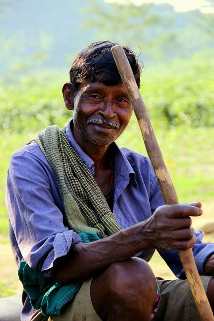 Tea garden worker