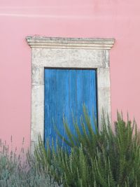 Close-up of closed door of building