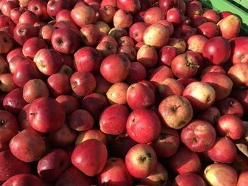 Full frame shot of apples