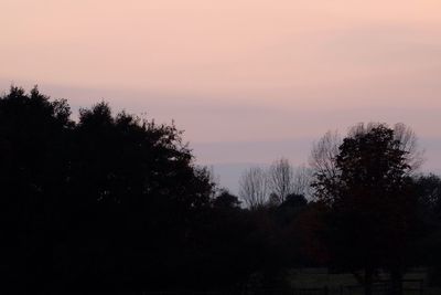 Silhouette trees against sky during sunset