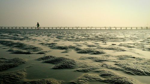 Scenic view of sea at sunset