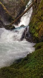 Scenic view of waterfall in forest