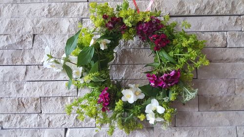 Flower pot against wall