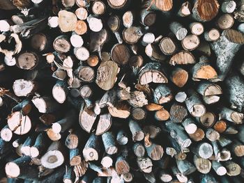 Full frame shot of logs in forest