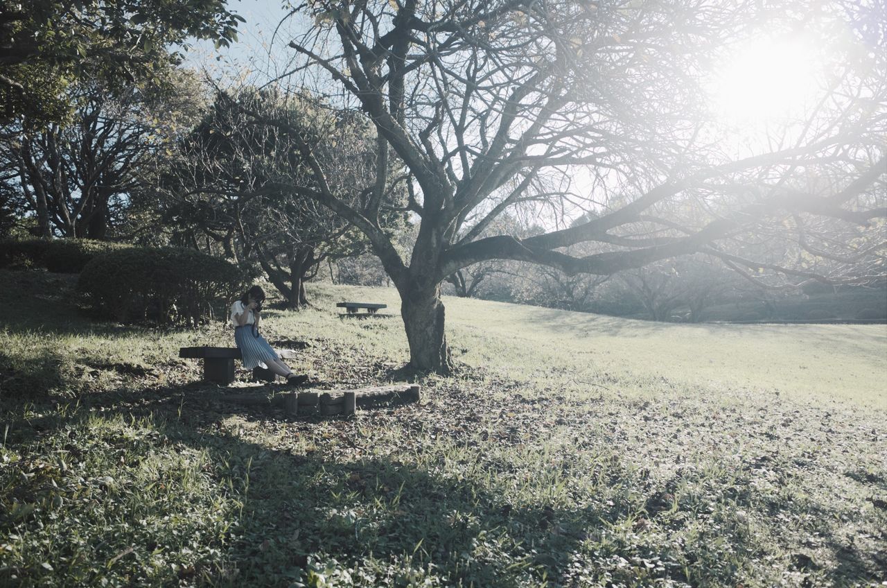 tree, plant, nature, sunlight, day, tranquility, sitting, park, land, one person, outdoors, tranquil scene, grass, lens flare, field, full length, branch, beauty in nature, real people