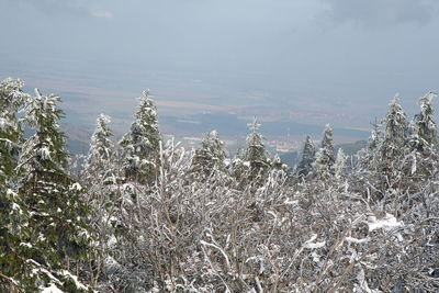 Scenic view of snow covered field against sky