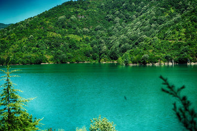 Scenic view of lake by trees against sky