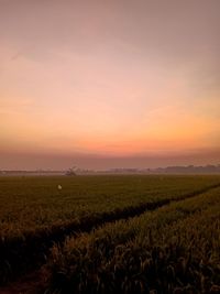 Scenic view of field against sky during sunset