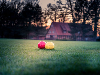 Close-up of ball on field