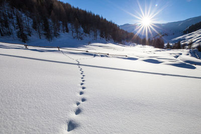 Sun shining over snow covered landscape