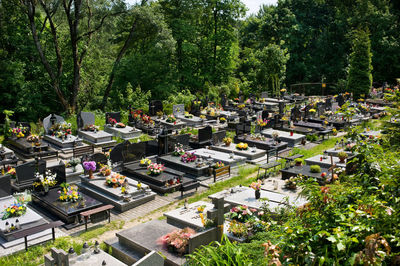 High angle view of a cemetery in poland