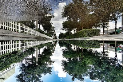 Reflection of trees in water against sky