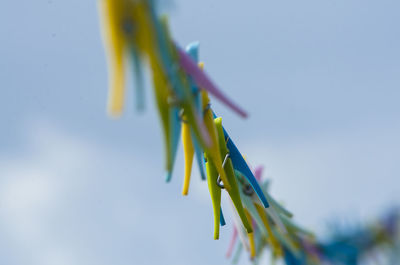 Close-up of pegs against the sky