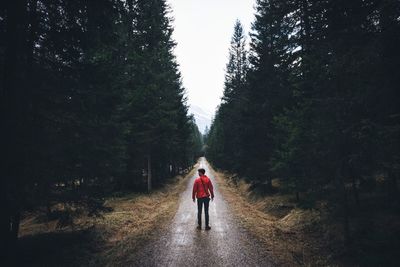 Full length rear view of man standing on footpath amidst trees against clear sky