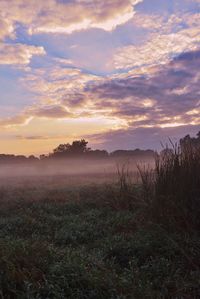 Scenic view of landscape against cloudy sky