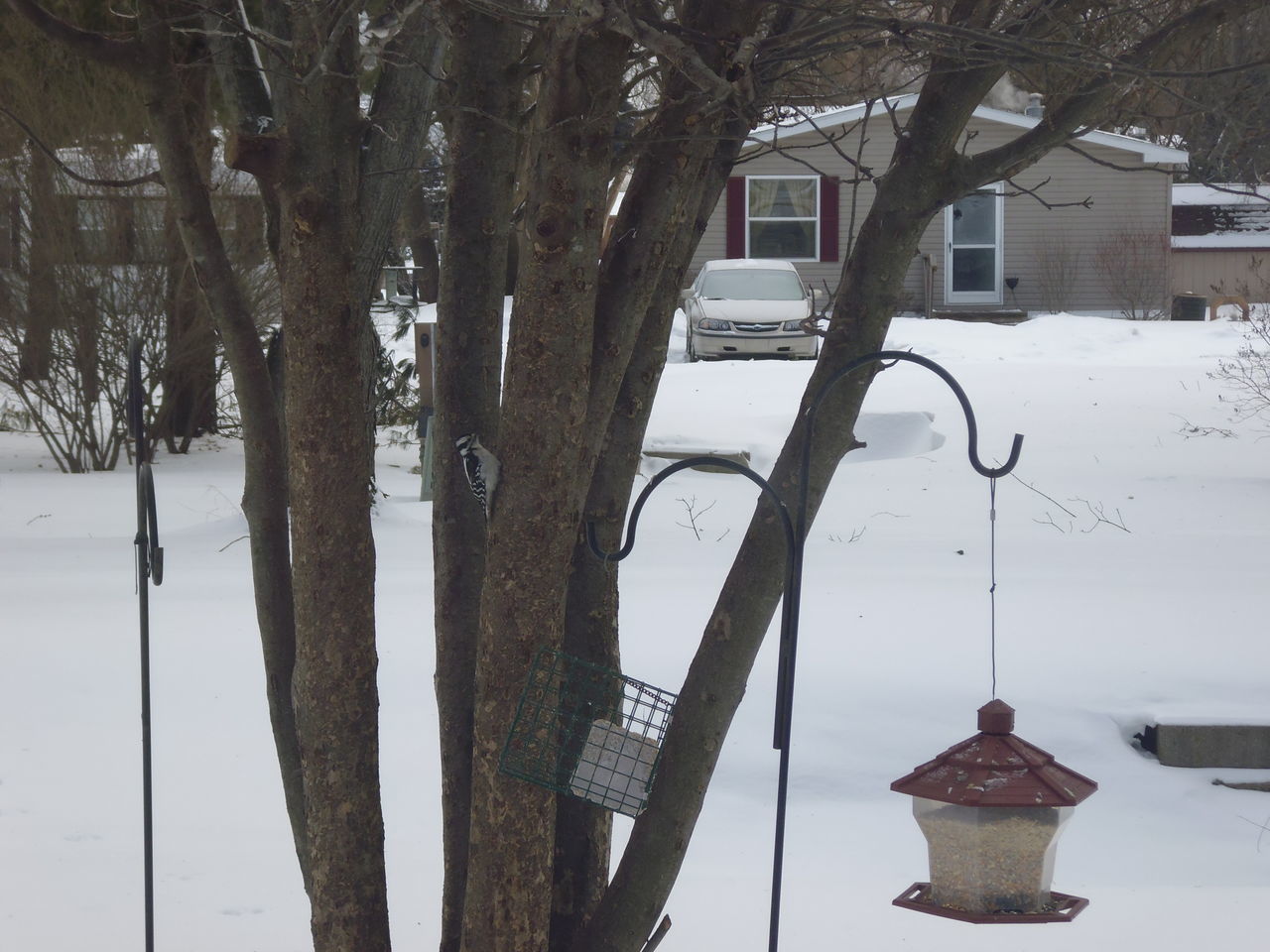 BUILT STRUCTURE HANGING IN WINTER