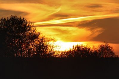 Silhouette trees against sky during sunset