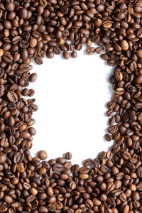 Directly above shot of coffee beans against white background