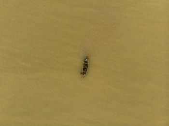 High angle view of ring on field